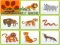 Wild Animals Kids Memory game – kostenloses Online-Spiel
