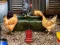 Poultry Farm Easter Escape – kostenloses Online-Spiel