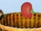 Harvesting – kostenloses Online-Spiel