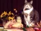 Funny Cats Puzzle – kostenloses Online-Spiel