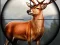 Animal Safari Hunter 2020 – kostenloses Online-Spiel