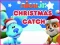 Nick Jr. Christmas Catch – kostenloses Online-Spiel