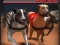 Greyhound Racing – kostenloses Online-Spiel