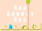 Run Rabbit Run – kostenloses Online-Spiel