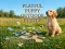 Playful Puppy Outdoor Puzzle – kostenloses Online-Spiel