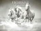 Horses Puzzle – kostenloses Online-Spiel