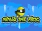 Ninja the Frog – kostenloses Online-Spiel