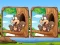 Jungle 5 Diffs – kostenloses Online-Spiel