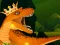 The Dino King – kostenloses Online-Spiel
