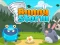 Bunny Storm – kostenloses Online-Spiel