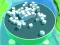 Roller Magnet – kostenloses Online-Spiel