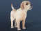 IDLE Pet – kostenloses Online-Spiel