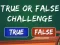  True Or False Challenge – kostenloses Online-Spiel