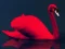 Love Birds Puzzle – kostenloses Online-Spiel