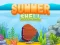 Summer Shell – kostenloses Online-Spiel