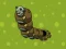 Zombie Worms – kostenloses Online-Spiel