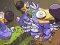 Save The Dodos – kostenloses Online-Spiel