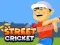 Street Cricket – kostenloses Online-Spiel