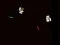 Skibidi Toilet Wars – kostenloses Online-Spiel
