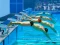 Swimming Pool Race – kostenloses Online-Spiel