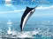 Azure Sea Fishing – kostenloses Online-Spiel