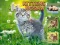 Kittens Jigsaw – kostenloses Online-Spiel