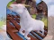 Angry Goat Wild Animal Rampage – kostenloses Online-Spiel