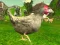 Chicken Shooter – kostenloses Online-Spiel