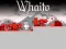 Whaito – kostenloses Online-Spiel
