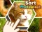 Sort Photograph – kostenloses Online-Spiel