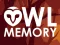 Owl Memory – kostenloses Online-Spiel