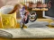 Bike Mania 4 Micro Office – kostenloses Online-Spiel