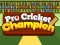 Pro Cricket Champion – kostenloses Online-Spiel