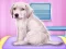 Labrador at the doctor salon – kostenloses Online-Spiel