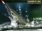 Summer Lake 1.5 – kostenloses Online-Spiel