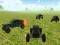 Buggy Simulator Sandbox 3D – kostenloses Online-Spiel
