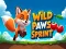 Wild Paws Sprint – kostenloses Online-Spiel