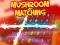Mushroom matching – kostenloses Online-Spiel