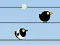 Gone with the Birds – kostenloses Online-Spiel