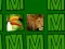 Memorina – kostenloses Online-Spiel