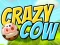 Crazy Cow – kostenloses Online-Spiel