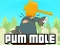 Pum-Mole – kostenloses Online-Spiel