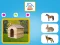 Who Lives Here – kostenloses Online-Spiel