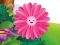 Funny Flowers Jigsaw – kostenloses Online-Spiel