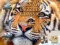 Jigsaw Puzzles Classic – kostenloses Online-Spiel