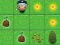Magic Seeds – kostenloses Online-Spiel