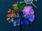 Hidden Stars – kostenloses Online-Spiel