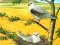 Birds Of Prey Puzzle – kostenloses Online-Spiel