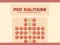 Peg Solitaire – kostenloses Online-Spiel