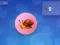 Snail Clicker – kostenloses Online-Spiel